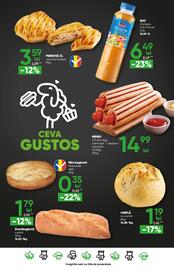Catalog PROFI Pagină 19
