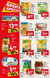 Catalog PROFI Pagină 6