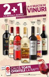 Catalog PROFI Pagină 8