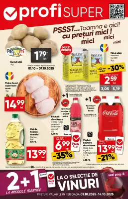 Catalog PROFI (valid până la 14-10)