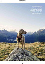 Catalogue Maxi Zoo page 14