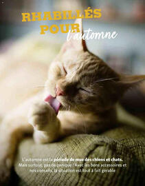 Catalogue Maxi Zoo page 16