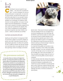 Catalogue Maxi Zoo page 17