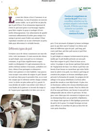 Catalogue Maxi Zoo page 18