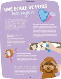 Catalogue Maxi Zoo page 20