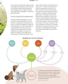Catalogue Maxi Zoo page 25