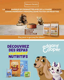 Catalogue Maxi Zoo page 31
