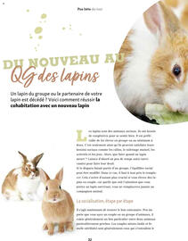 Catalogue Maxi Zoo page 32