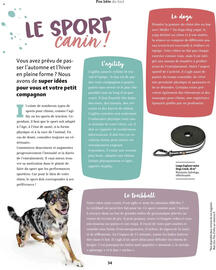 Catalogue Maxi Zoo page 34