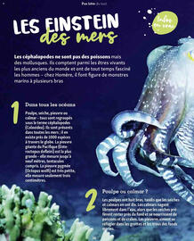 Catalogue Maxi Zoo page 36