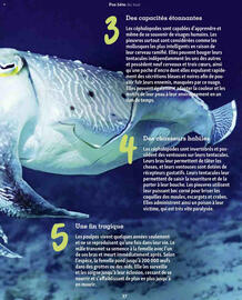 Catalogue Maxi Zoo page 37