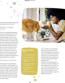 Catalogue Maxi Zoo page 41