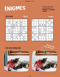 Catalogue Maxi Zoo page 42