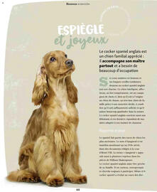 Catalogue Maxi Zoo page 44