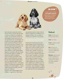 Catalogue Maxi Zoo page 45