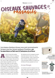 Catalogue Maxi Zoo page 46
