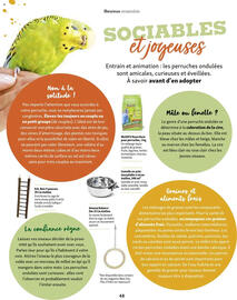 Catalogue Maxi Zoo page 48