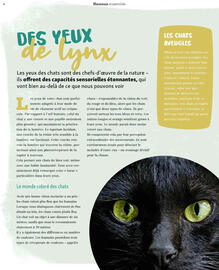 Catalogue Maxi Zoo page 51