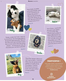 Catalogue Maxi Zoo page 53
