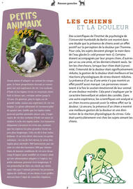 Catalogue Maxi Zoo page 7