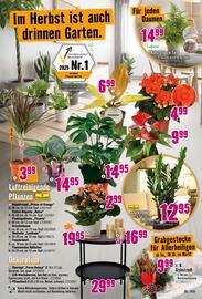 Hornbach Prospekt Seite 27