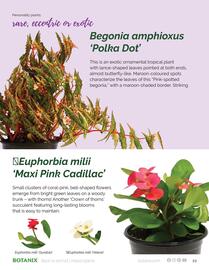 Botanix flyer Page 10