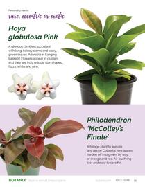 Botanix flyer Page 11
