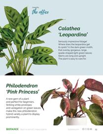 Botanix flyer Page 13