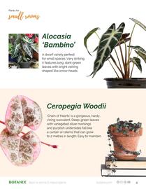 Botanix flyer Page 4