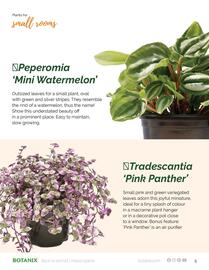 Botanix flyer Page 5