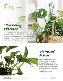 Botanix flyer Page 7