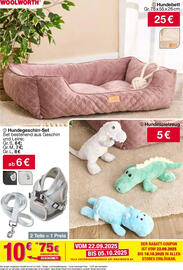 Woolworth Prospekt Seite 13