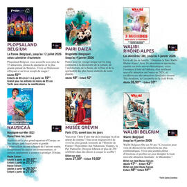 Catalogue Carrefour | Spectacles page 15