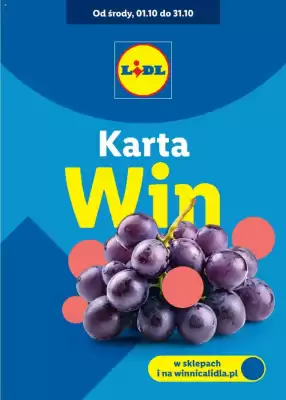 Lidl gazetka (ważność do 31-10)