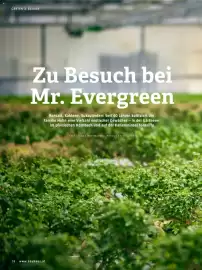 Bauhaus Flugblatt Seite 28