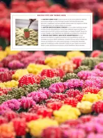 Bauhaus Flugblatt Seite 31