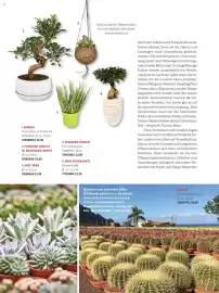 Bauhaus Flugblatt Seite 32