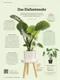 Bauhaus Flugblatt Seite 36