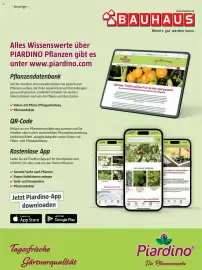 Bauhaus Flugblatt Seite 37