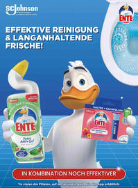 Dm Flugblatt Seite 100