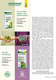 Dm Flugblatt Seite 106