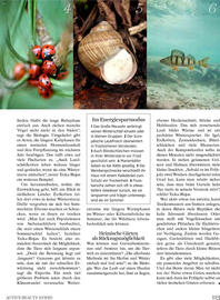 Dm Flugblatt Seite 113