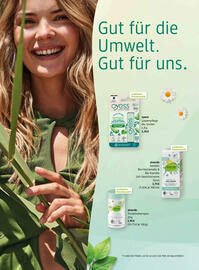 Dm Flugblatt Seite 2