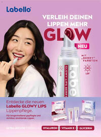 Dm Flugblatt Seite 29