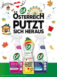 Dm Flugblatt Seite 70