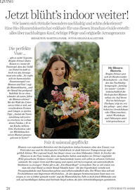 Dm Flugblatt Seite 72
