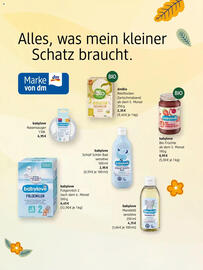 Dm Flugblatt Seite 2