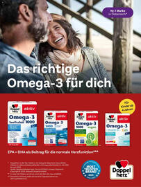 Dm Flugblatt Seite 38