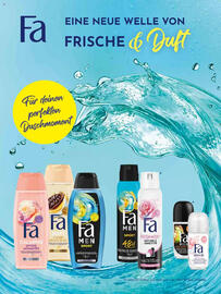 Dm Flugblatt Seite 41