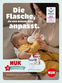 Dm Flugblatt Seite 64